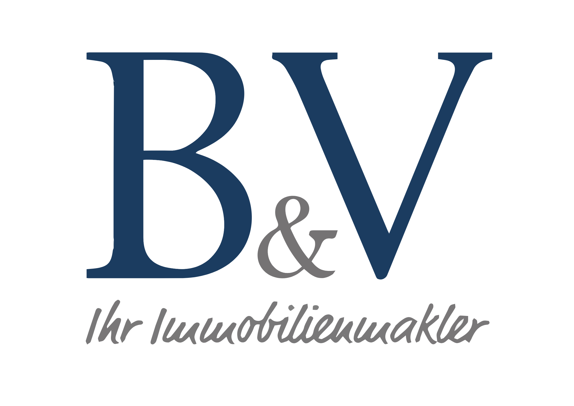 B&V GmbH